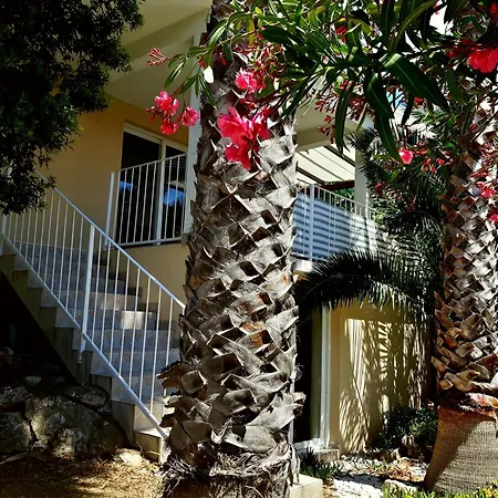 Apartament Selleng Vis